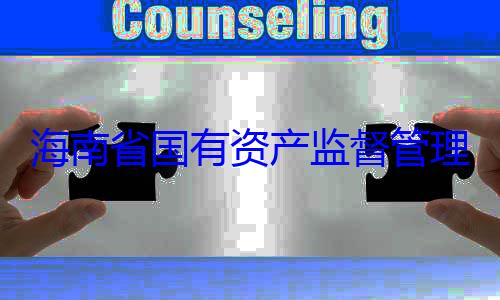 有福接受审查调查资产监督管理委员会党委副书记王海南省国有